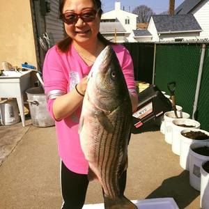 Meet your Posher, Xiao yan